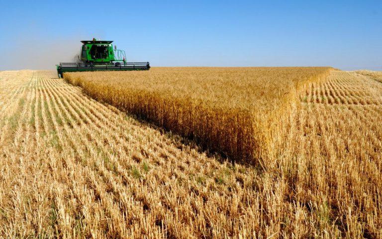 Държавата се намеси в зърнения бизнес