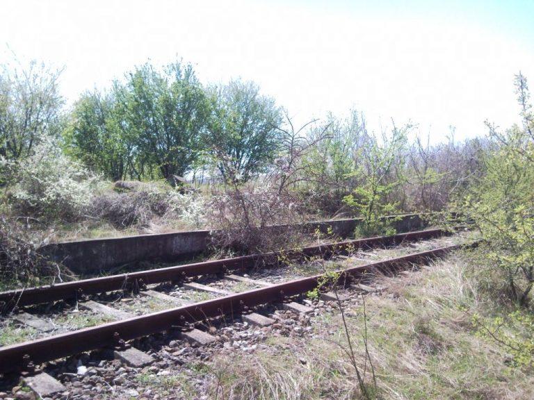 920e74ddc49b56e1eedc29b60cb99fb2
