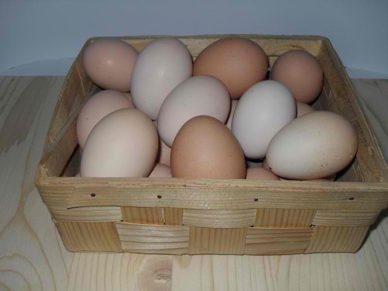 Яйца купить нижний новгород