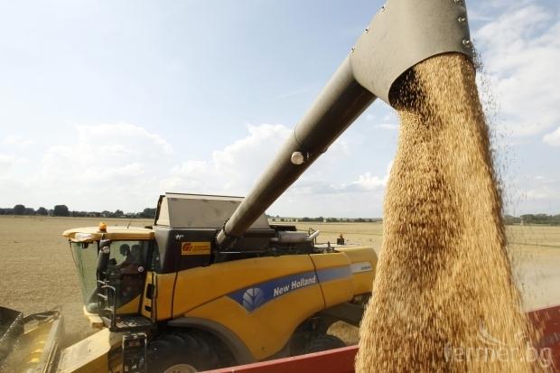 Зърното остава най-изнасяната селскостопанска култура
