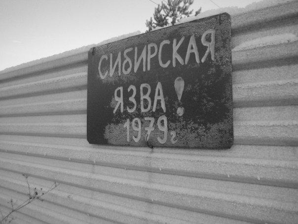 aac68d5be57c1b8af5efed09e2ce8bc2