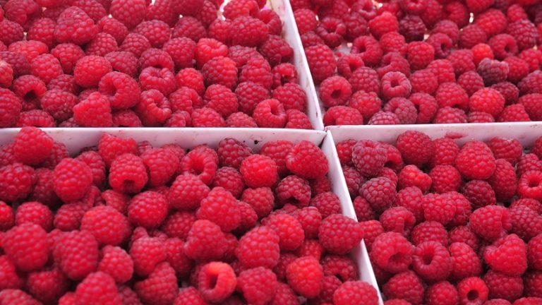 8618eeca876b9371608693c5127537c8