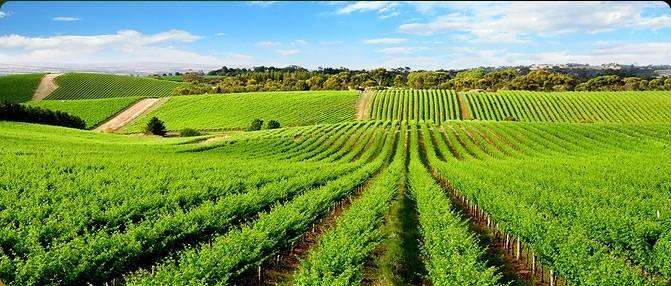 97ccf57b88ba253cc5dc92ad21261841