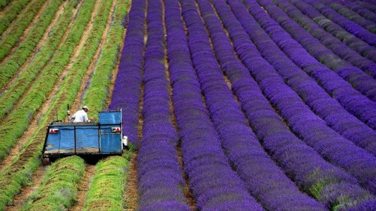 bed16ceab631edf04de8580429589126