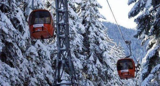 345368fa31a6f385890f807df14a6a2c