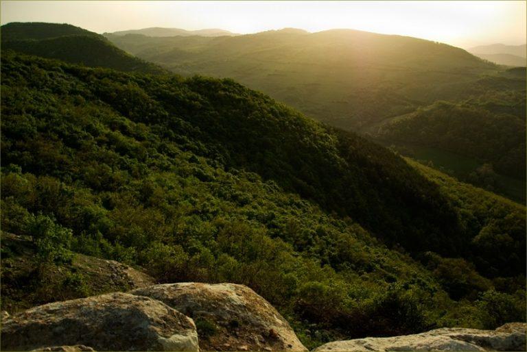 7df8245c0ab60c2a66f35548e0799ba9