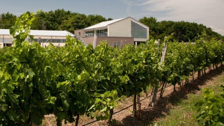 a774d8c3745a520e59377faa0778fa40