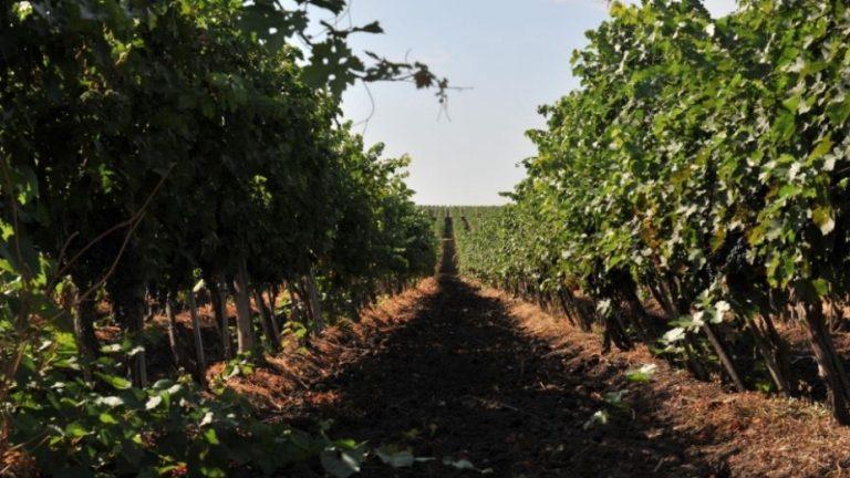 ec592b52e3dc938eb86fda0eaa9ffec4