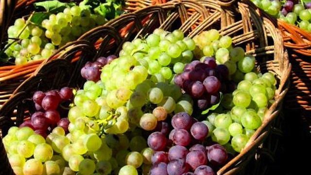 fdb04aac8fab95603ec2d637226aeef7