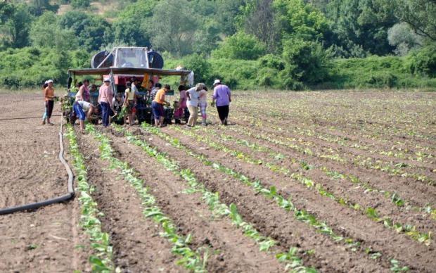 5b3a985e06e6af52b7df37d83e24b66e