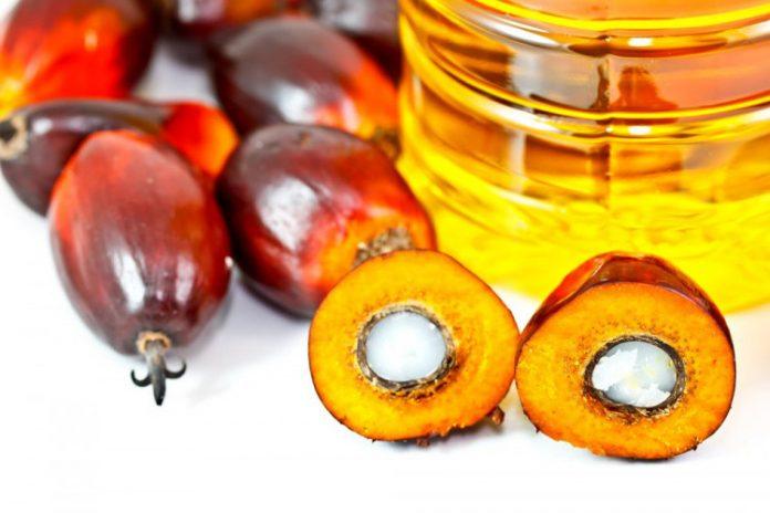 Кои производители на млечни продукти у нас използват палмово масло ...