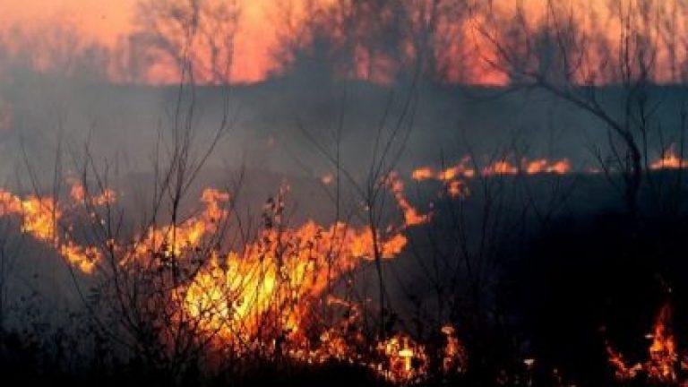 fire 1265718 960 720 e1472654780578 1280x720 1
