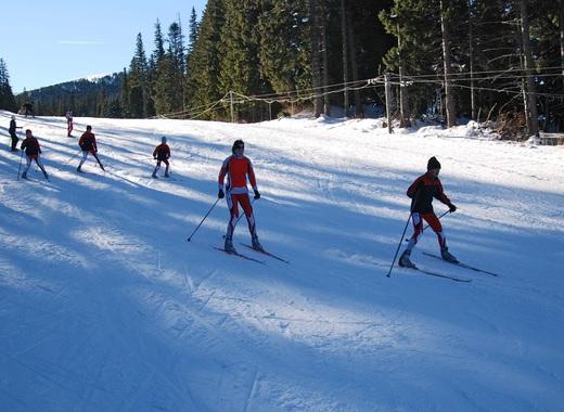 medium Kom skiori