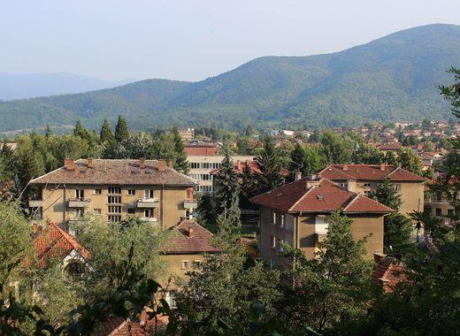 medium Berkovica 041