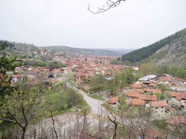 selo