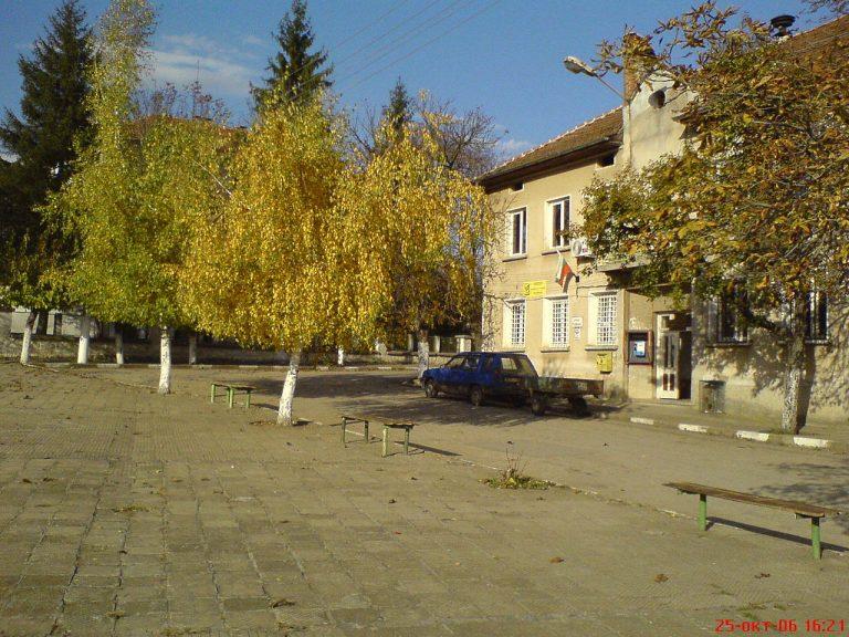 Зловеща катастрофа по пътя Видин-Монтана