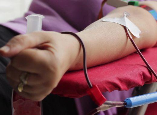 medium blood donation