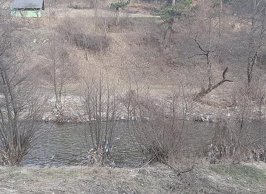 medium 20210319 165659