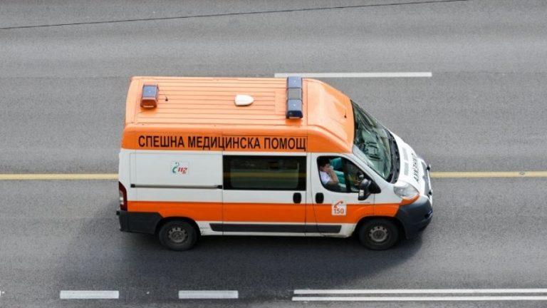 lineyka 1