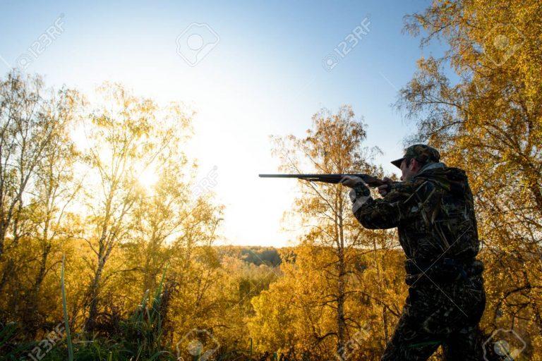 87325670 a hunter with a gun in the forest at dawn