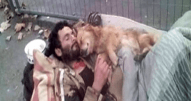 Сърцераздирателно! Бездомник спи с кучето си в ръце, ангел с четири лапи, който никога не го изоставя