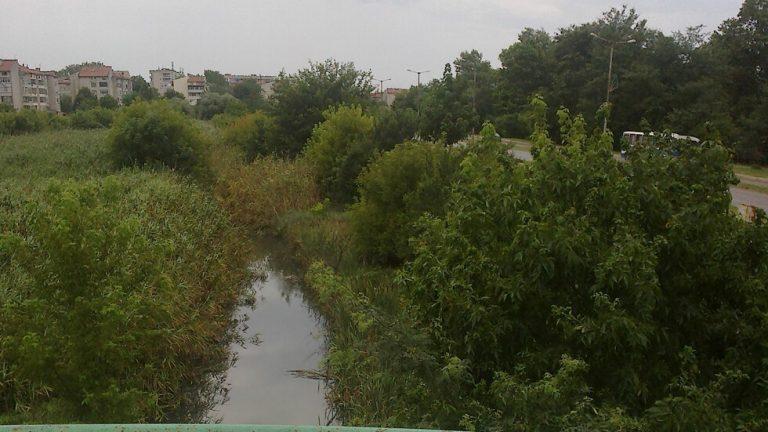 980x551 1553267821
