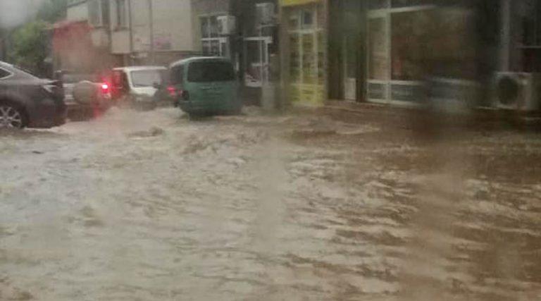 gorna oryahovica poroj10