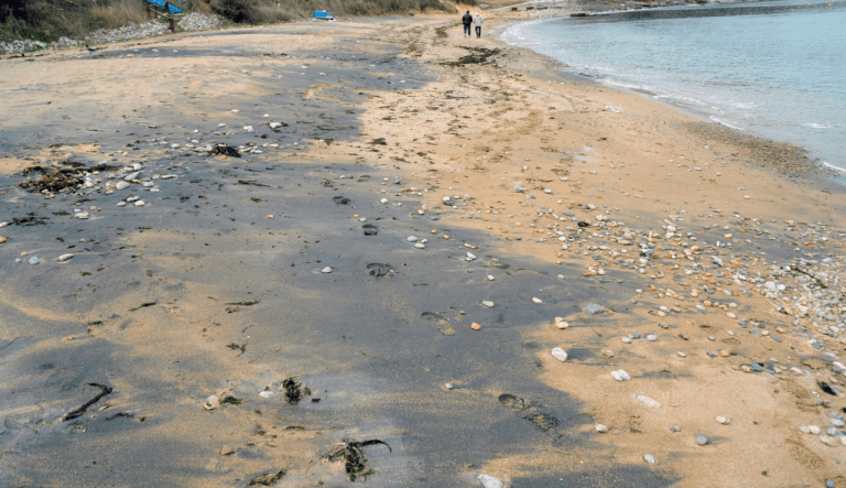 image 20220126135335 1