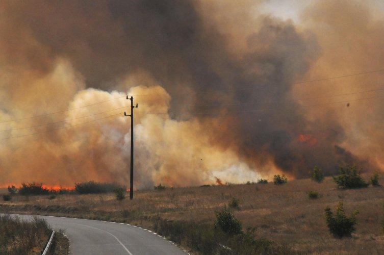 pozhar gori kray burgaskoto selo izvorishte 47762