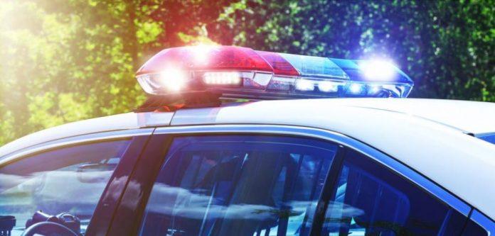 991 ratio policiia patrulka svetlini22