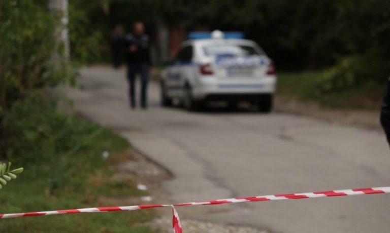 ubiistvo bosnek izdirvat izvarshitelia 874