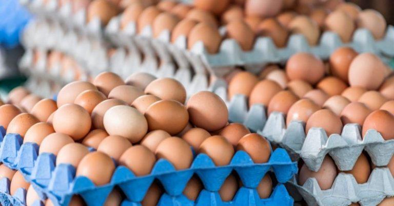 Яйцето в Дупница се продава за 53 стотинки