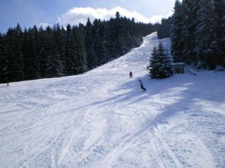 skii