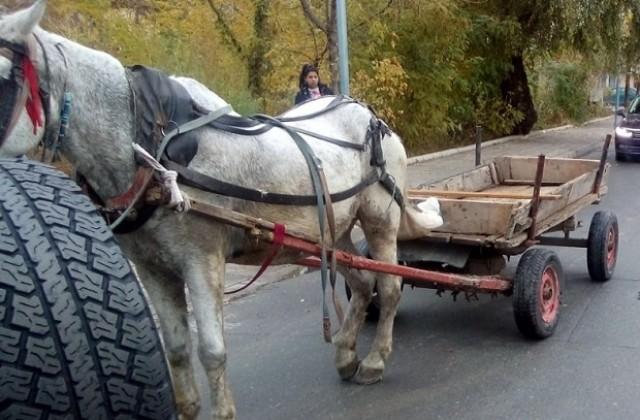640 420 repatriraha karuca ot krystovishteto na bul iztochen i shesti septemvri