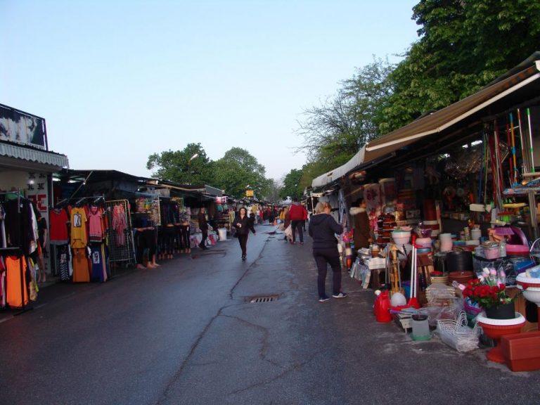 dimitrovgrad pazar.m