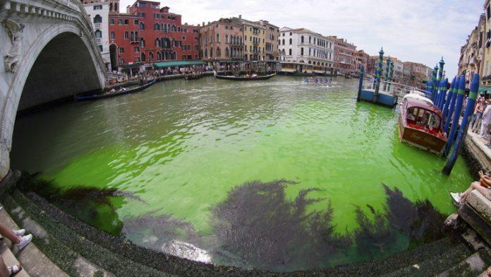 Phosphorescent green patch appears on Grand Canal in Venice Phosphorescent green patch appears on Grand Canal in Venice