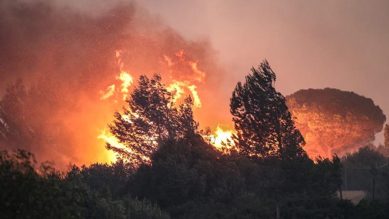 Cascais fire fought by air and ground resources