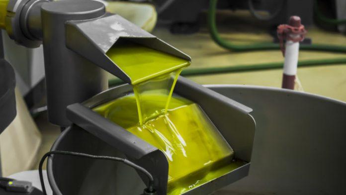 The final phase of extra virgin olive oil production with modern equipment