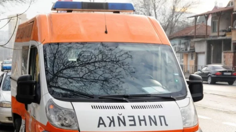 Страшна трагедия на пътя край Павликени