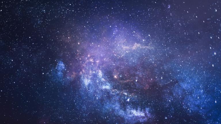 768x432 (5)