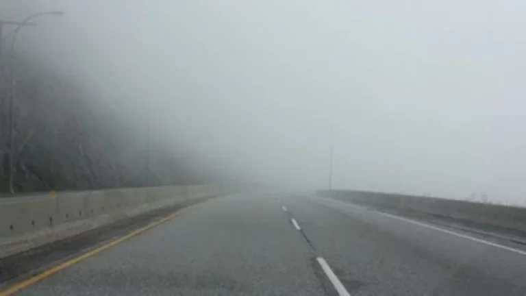 1702534552 image 16625594 40 0