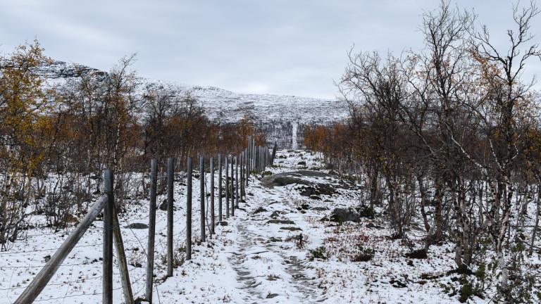 mesh fence on the border of Finland