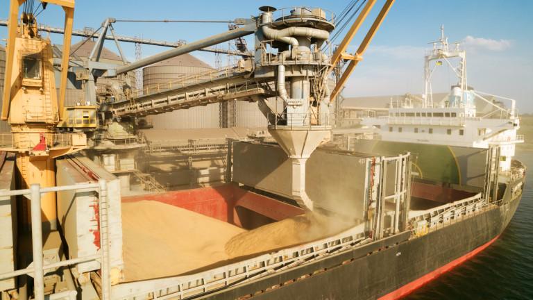 Loading grain into holds of sea cargo vessel through an automatic line in seaport from silos of grain storage. Bunkering of dry cargo ship with grain