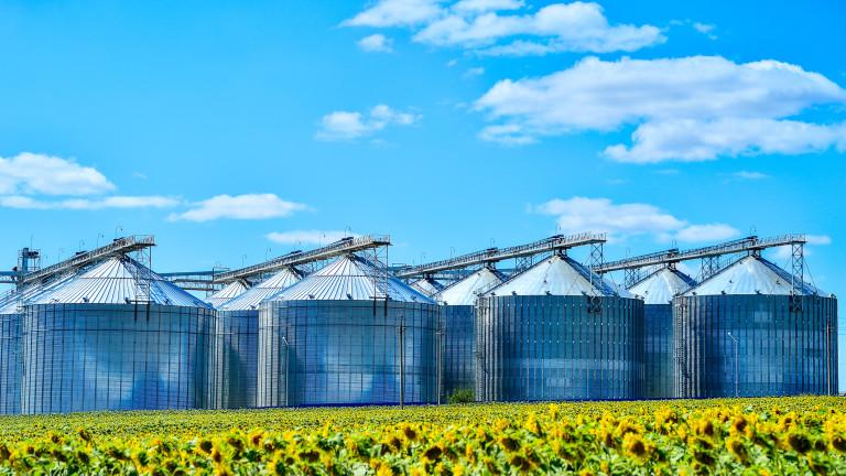 Sunflower oil production plant and sunflower field