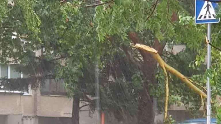 1720619424 sistemen bufer 12