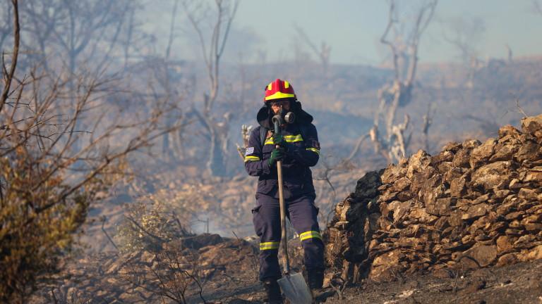 Wildfire burns olive groves on the island of Lesbos in Northeast Aegean