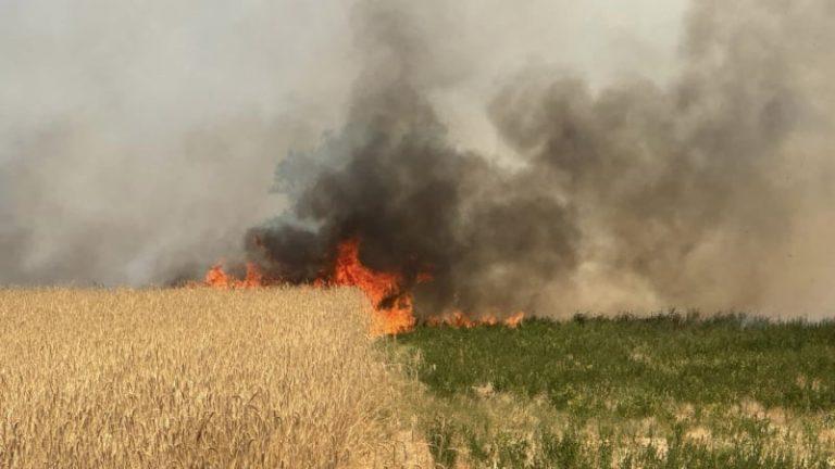 1721194785 451450291 814304264171883 2586296354455647803 n