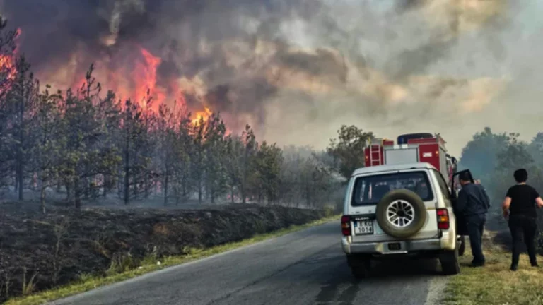 1722957797 screenshot 2024 08 06 at 18 23 08 1000002170jpg jpeg image 650 433 pixels