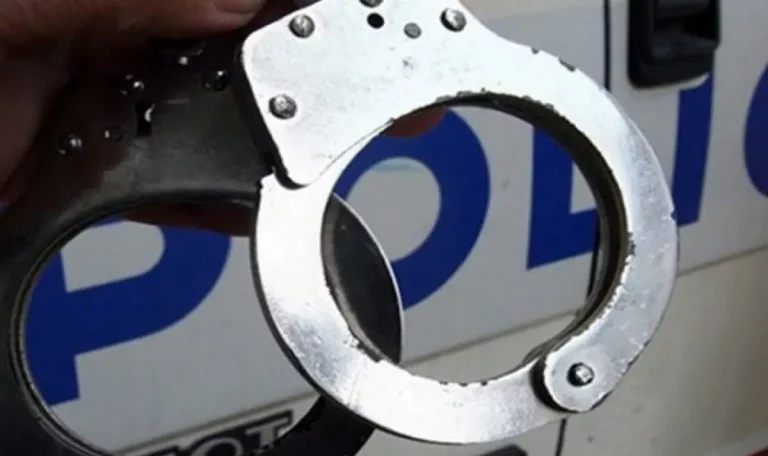 patnik bez bilet nabi mashinista na vlaka za panagurishte 1