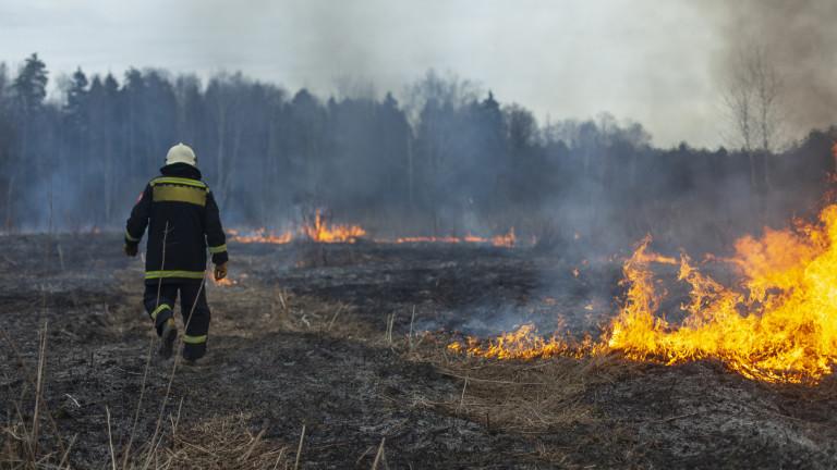 A firefighter extinguishes dry grass. A firefighter is fighting a fire in an open area.